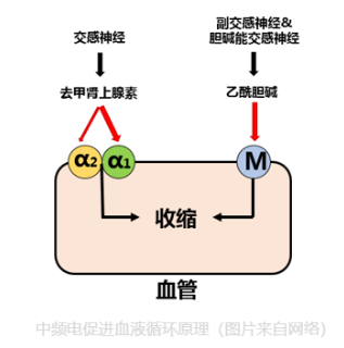 1678862252973862.png 1678850209976714.png