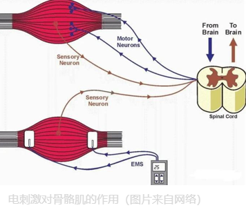 1678862280516418.png 1678850257150226.png